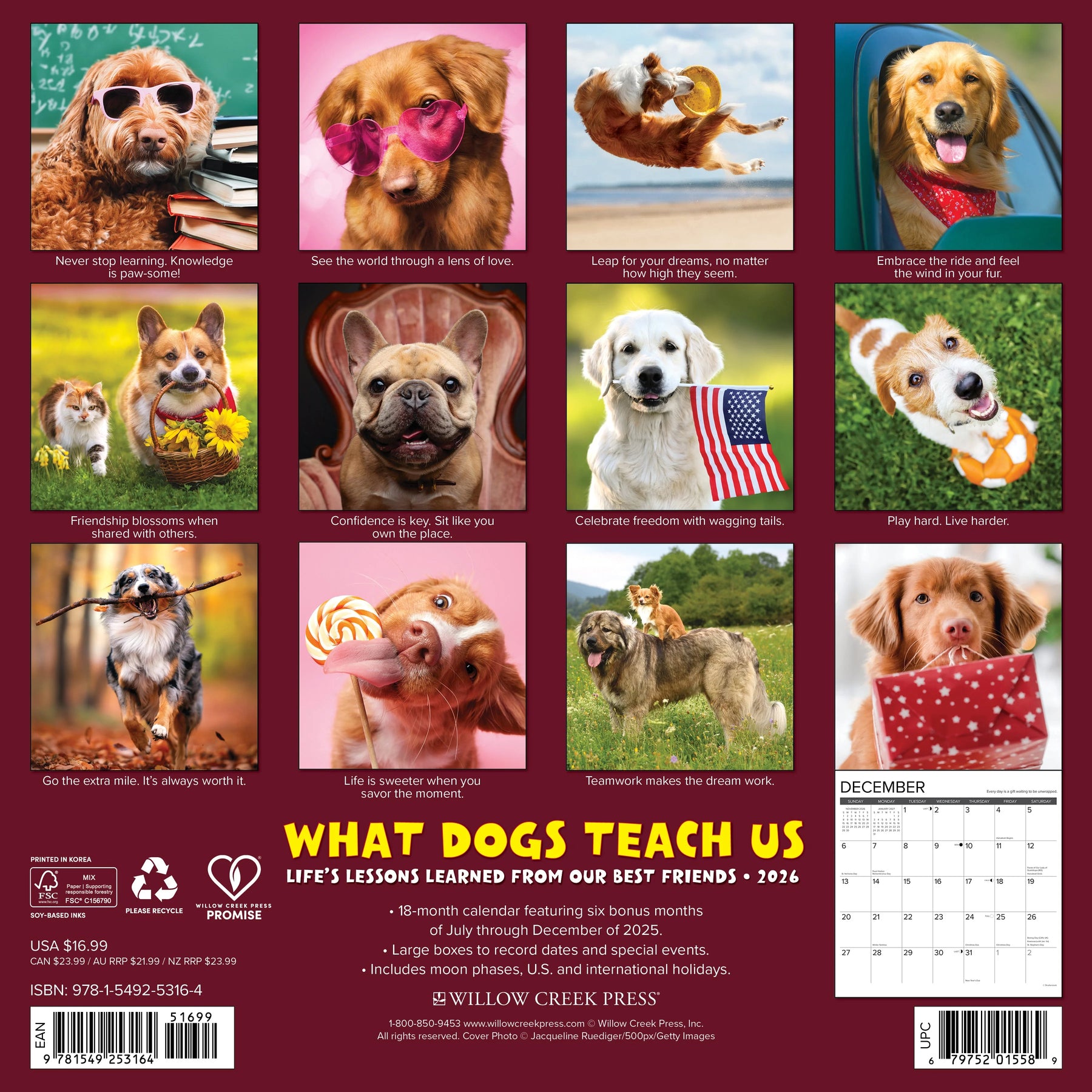 Willow Creek Press - 2026 What Dogs Teach Us Calendar