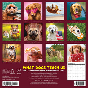 Willow Creek Press - 2026 What Dogs Teach Us Calendar