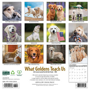 Willow Creek Press - 2026 What Goldens Teach Us Calendar