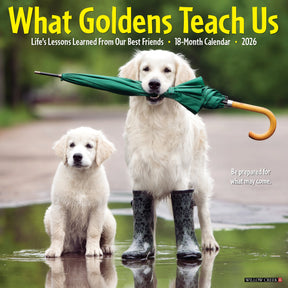Willow Creek Press - 2026 What Goldens Teach Us Calendar