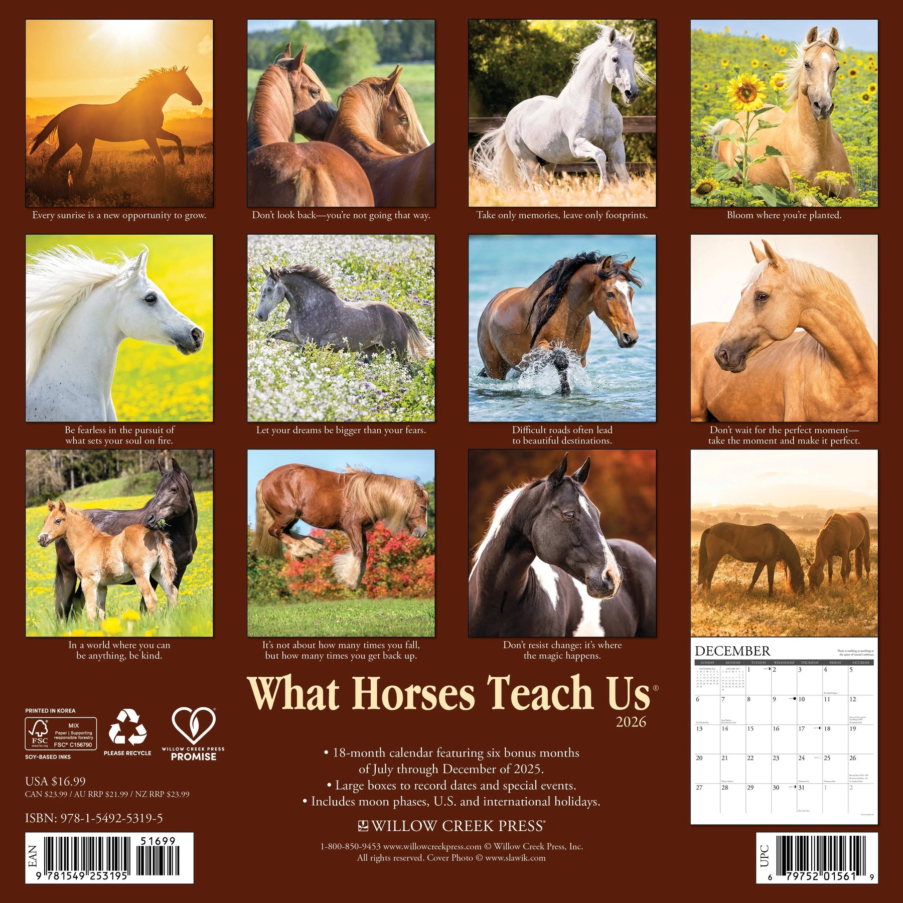 Willow Creek Press - 2026 What Horses Teach Us Calendar