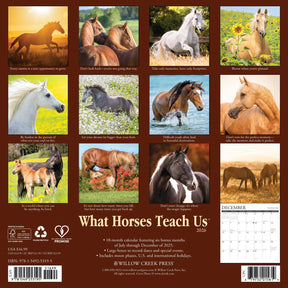 Willow Creek Press - 2026 What Horses Teach Us Calendar