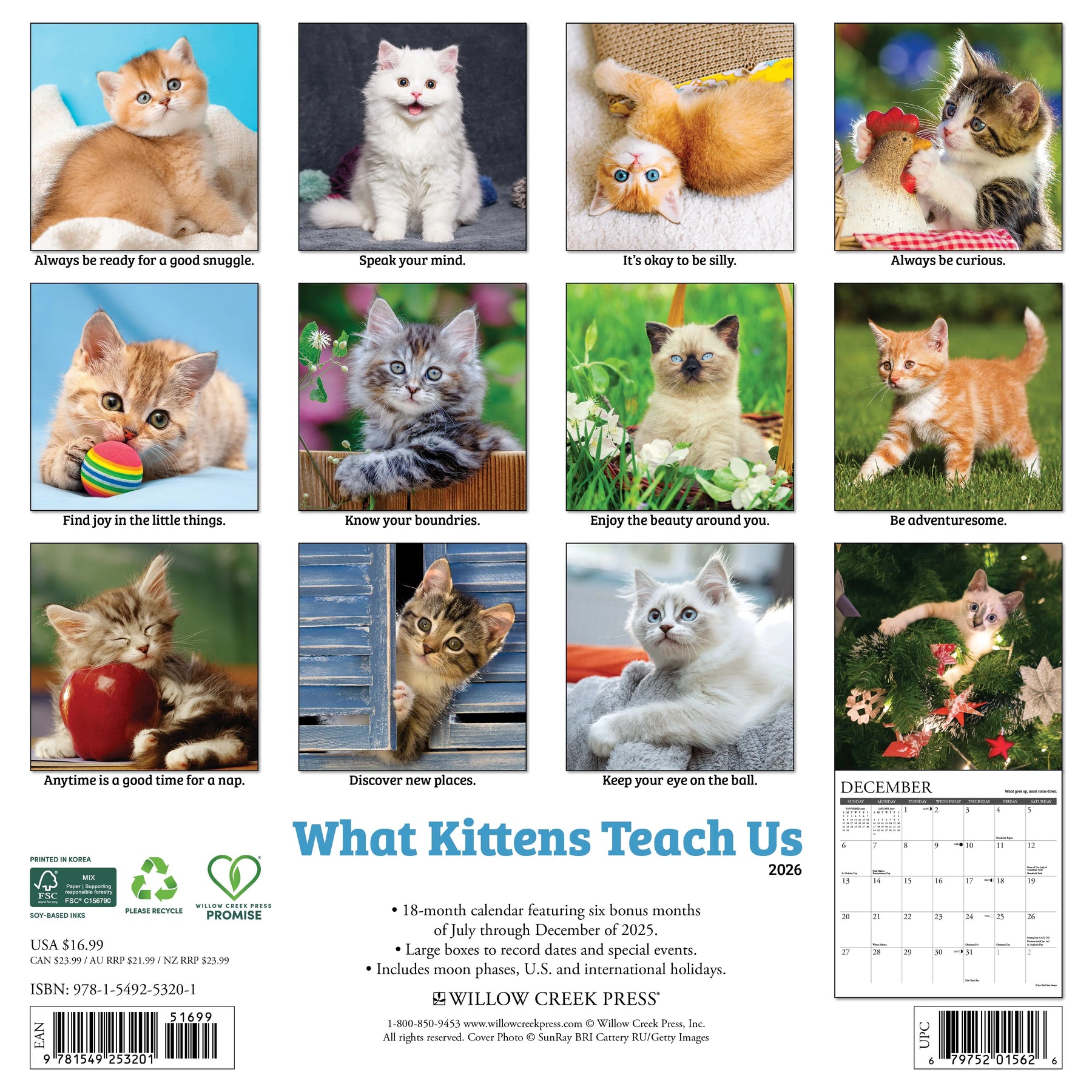 Willow Creek Press - 2026 What Kittens Teach Us Calendar