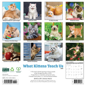 Willow Creek Press - 2026 What Kittens Teach Us Calendar