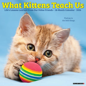 Willow Creek Press - 2026 What Kittens Teach Us Calendar