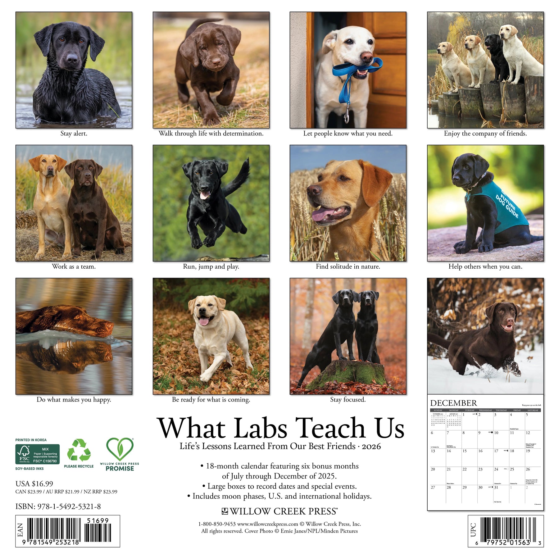 Willow Creek Press - 2026 What Labs Teach Us Calendar