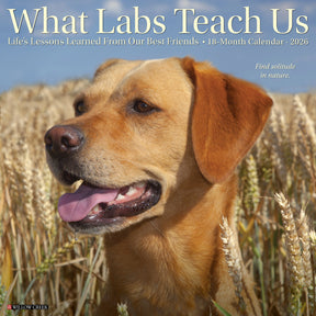 Willow Creek Press - 2026 What Labs Teach Us Calendar