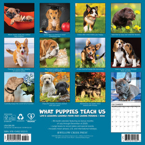 Willow Creek Press - 2026 What Puppies Teach Us Calendar
