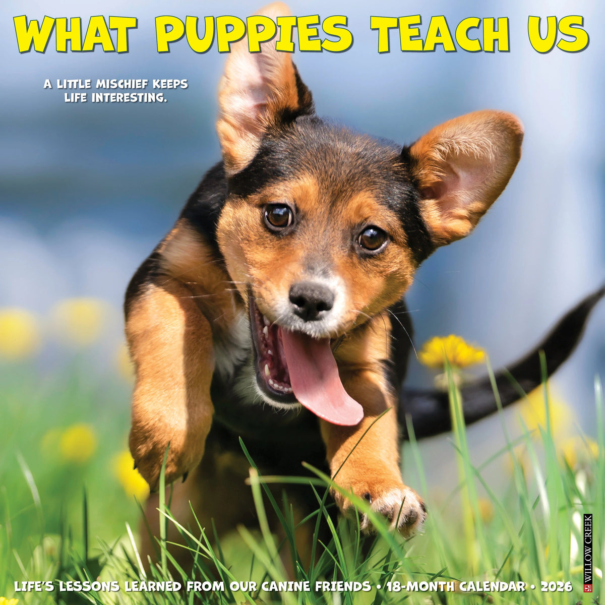 Willow Creek Press - 2026 What Puppies Teach Us Calendar