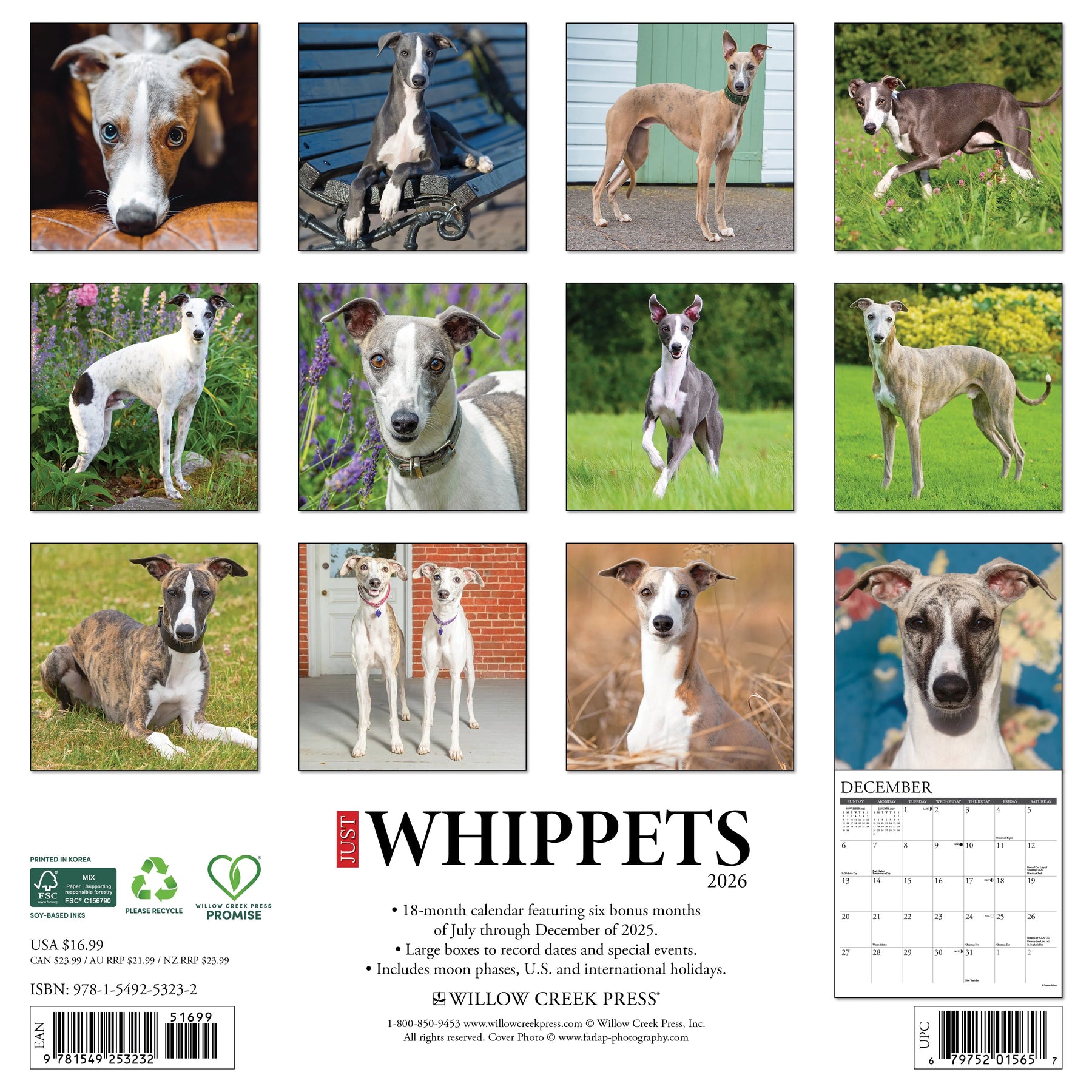 Willow Creek Press - 2026 Whippets Calendar