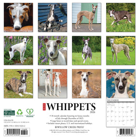 Willow Creek Press - 2026 Whippets Calendar