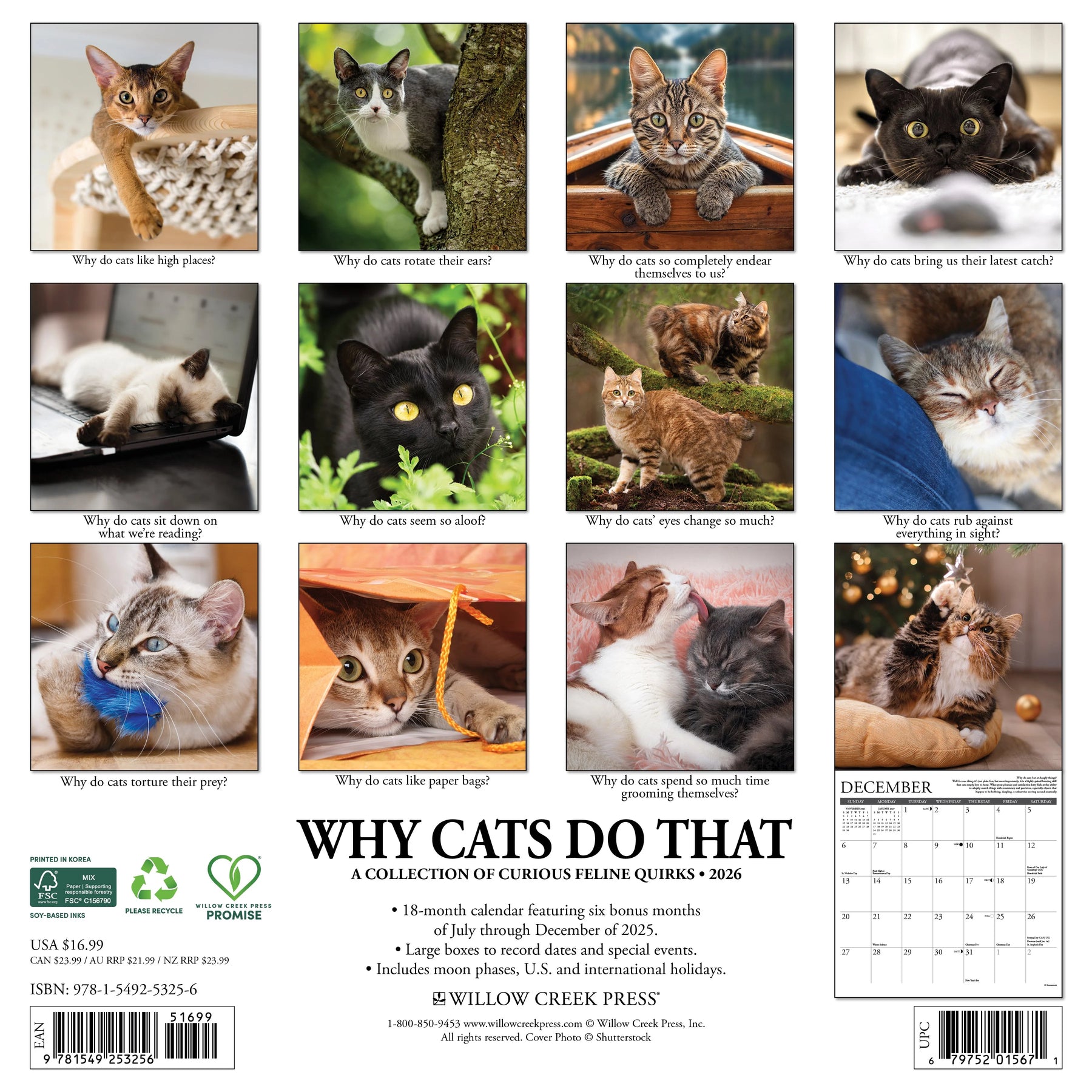 Willow Creek Press - 2026 Why Cats Do That Calendar