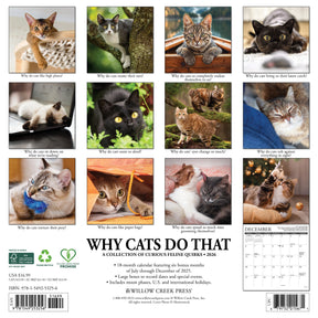 Willow Creek Press - 2026 Why Cats Do That Calendar