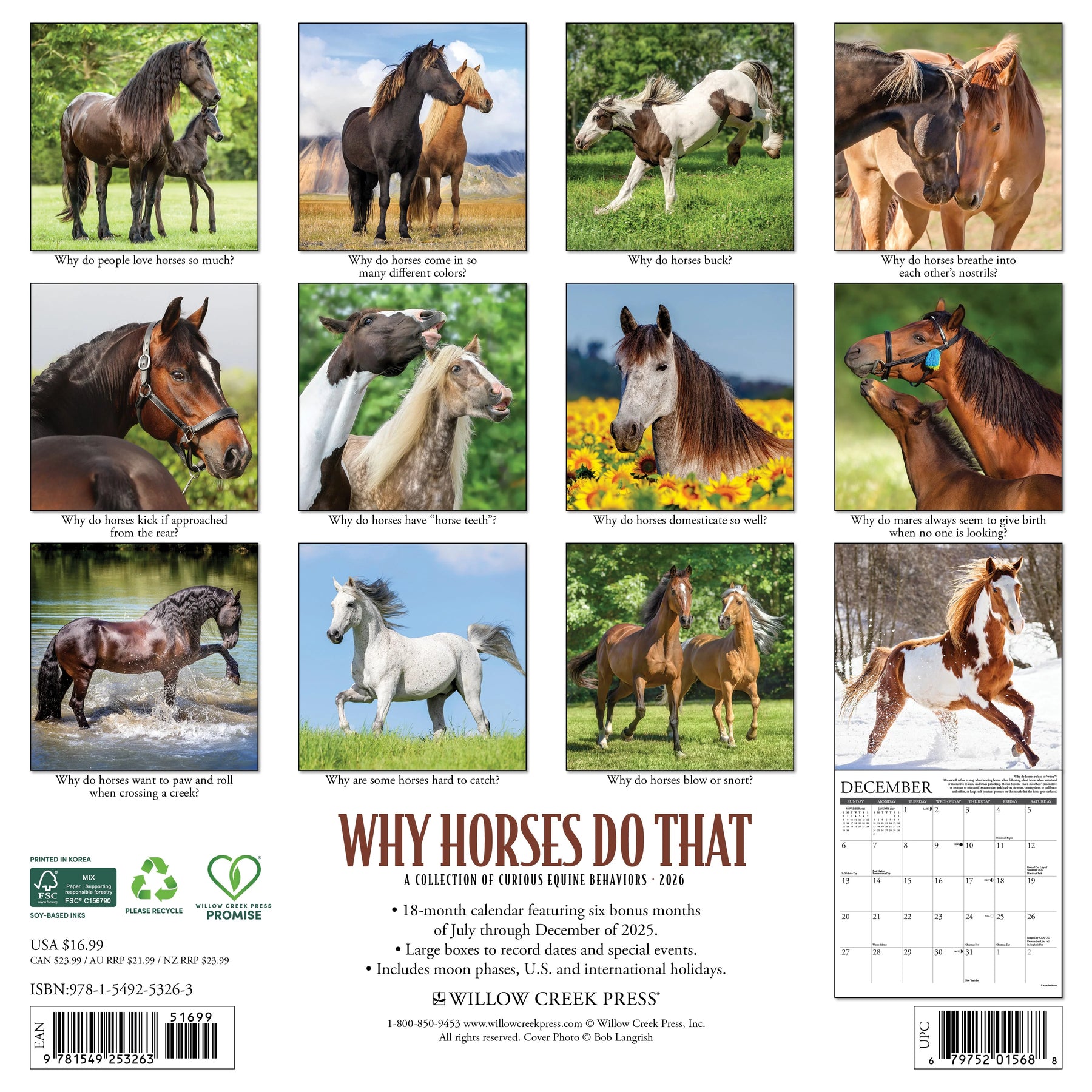 Willow Creek Press - 2026 Why Horses Do That Calendar