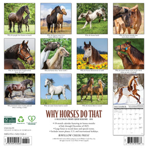 Willow Creek Press - 2026 Why Horses Do That Calendar