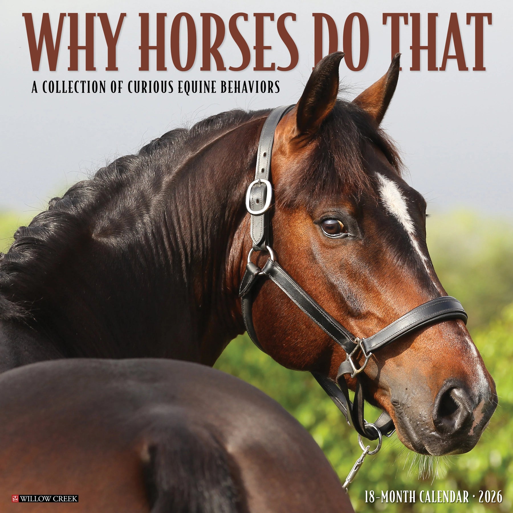 Willow Creek Press - 2026 Why Horses Do That Calendar