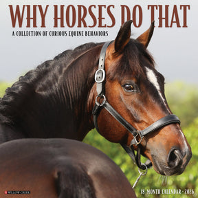 Willow Creek Press - 2026 Why Horses Do That Calendar