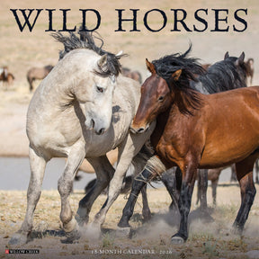 Willow Creek Press - 2026 Wild Horses Calendar