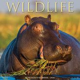 Willow Creek Press - 2026 WildlifeCalendar