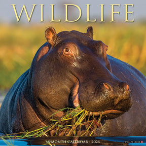 Willow Creek Press - 2026 WildlifeCalendar