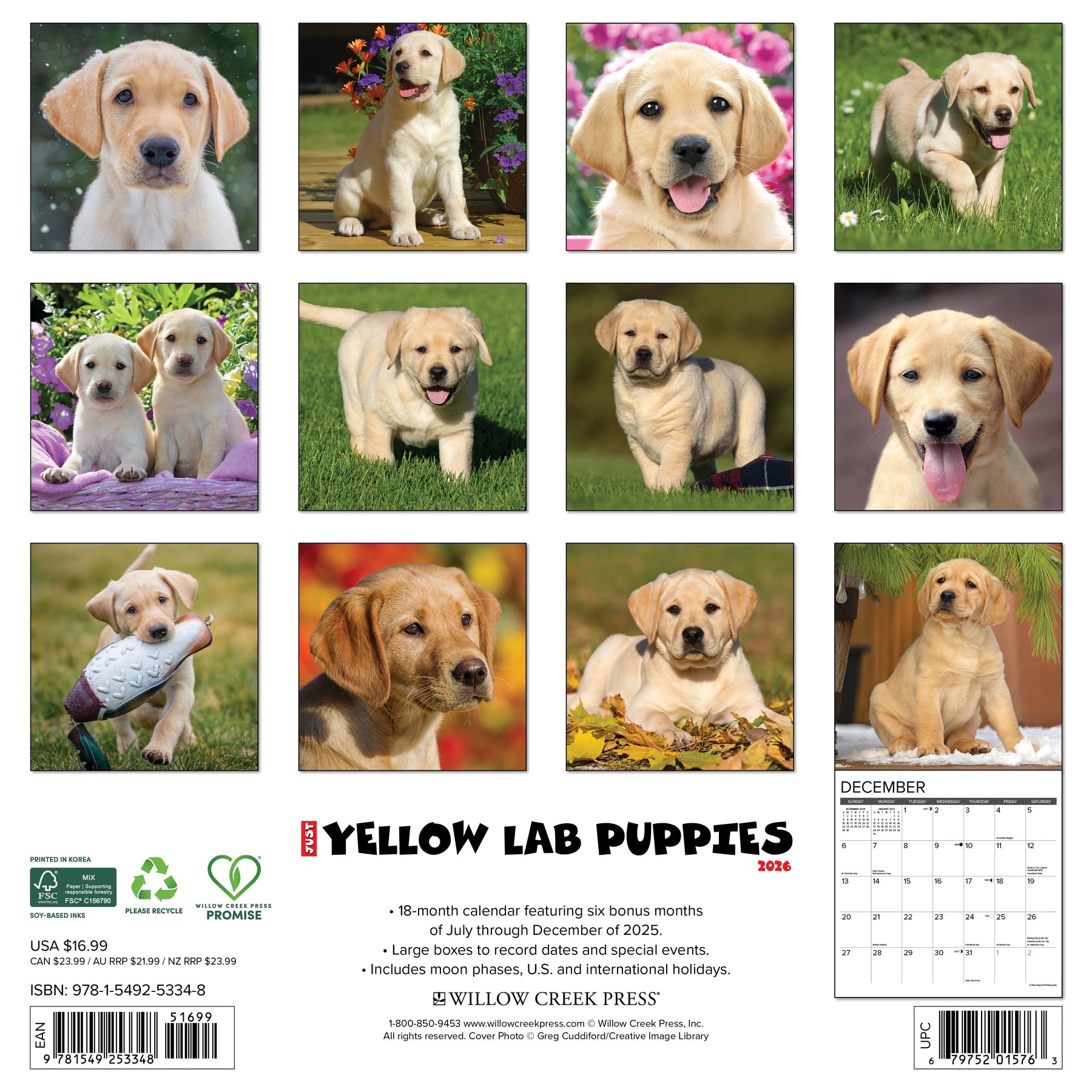 Willow Creek Press - 2026 Yellow Lab Puppies Calendar