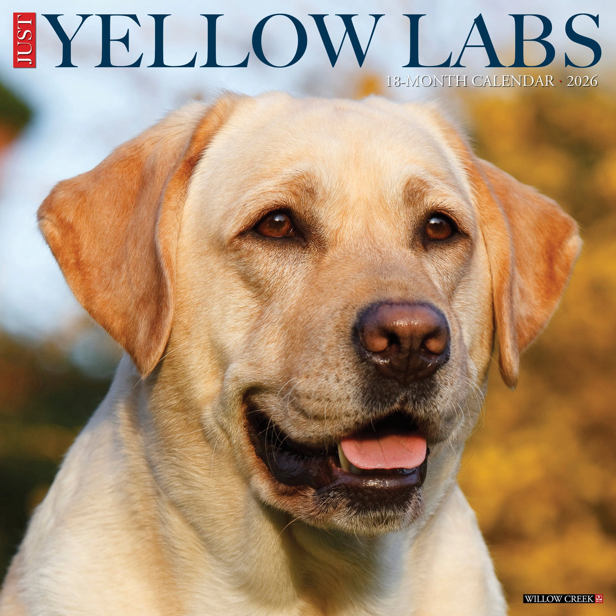 Willow Creek Press - 2026 Yellow Labs Calendar