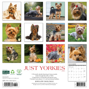Willow Creek Press - 2026 Yorkies Calendar