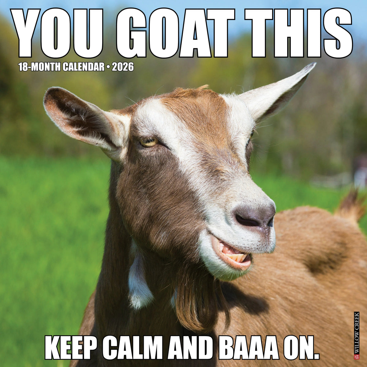 Willow Creek Press - 2026 You Goat This Calendar
