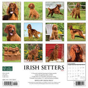 2024 Irish Setters Calendar