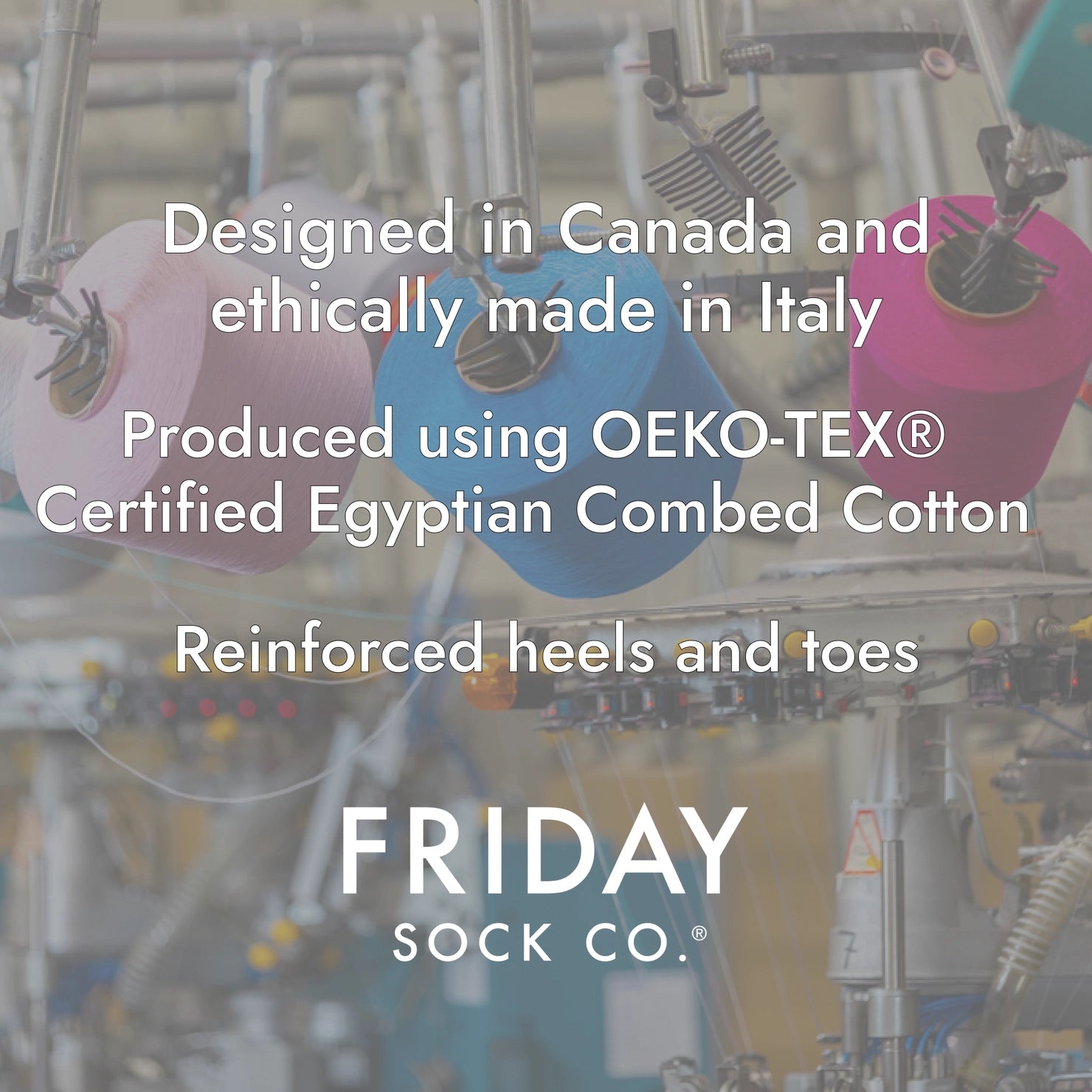 Friday Sock Co. - Women's Socks Hummingbird Mismatched