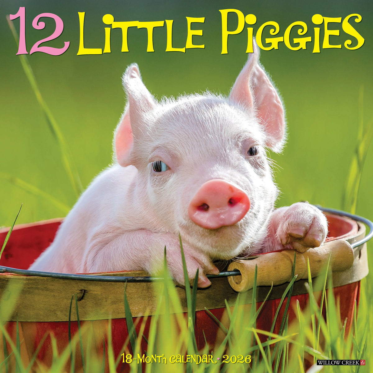 Willow Creek Press - 2026 12 Little Piggies Calendar
