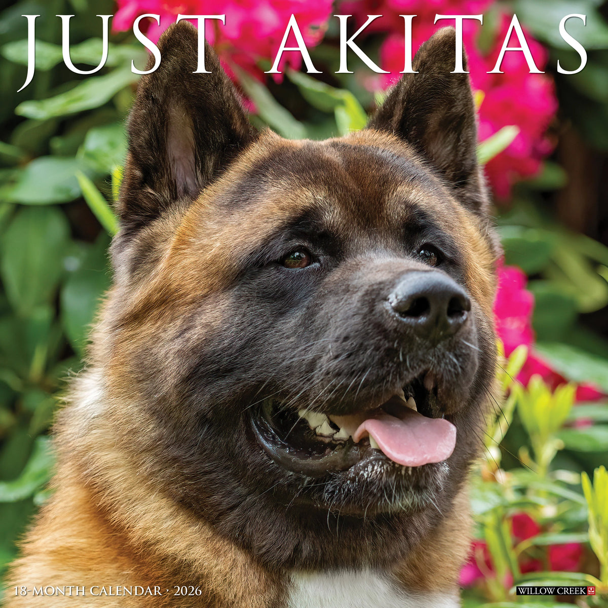 Willow Creek Press - 2026 Akitas Calendar