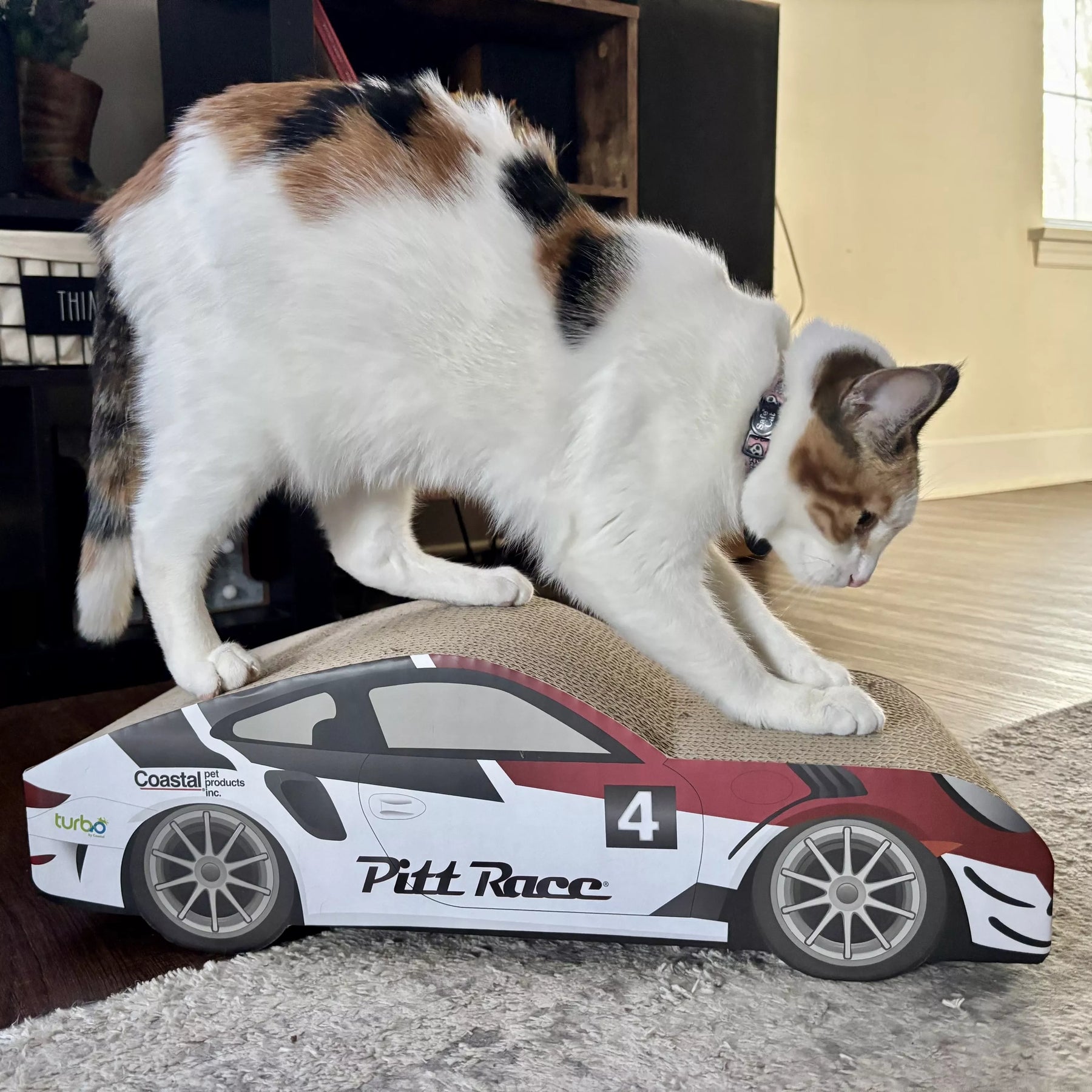Coastal - Race Car Scratcher
