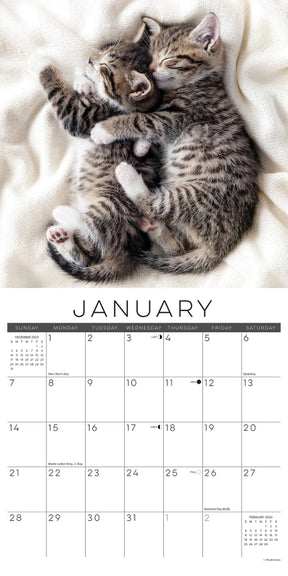 2024 Naptime: A Cat's Favorite Pastime Calendar