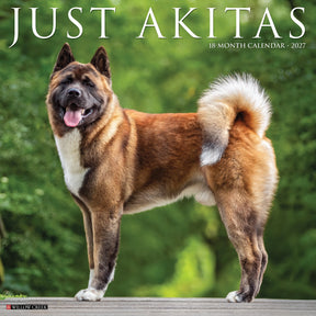 Willow Creek Press - 2027 Akitas
