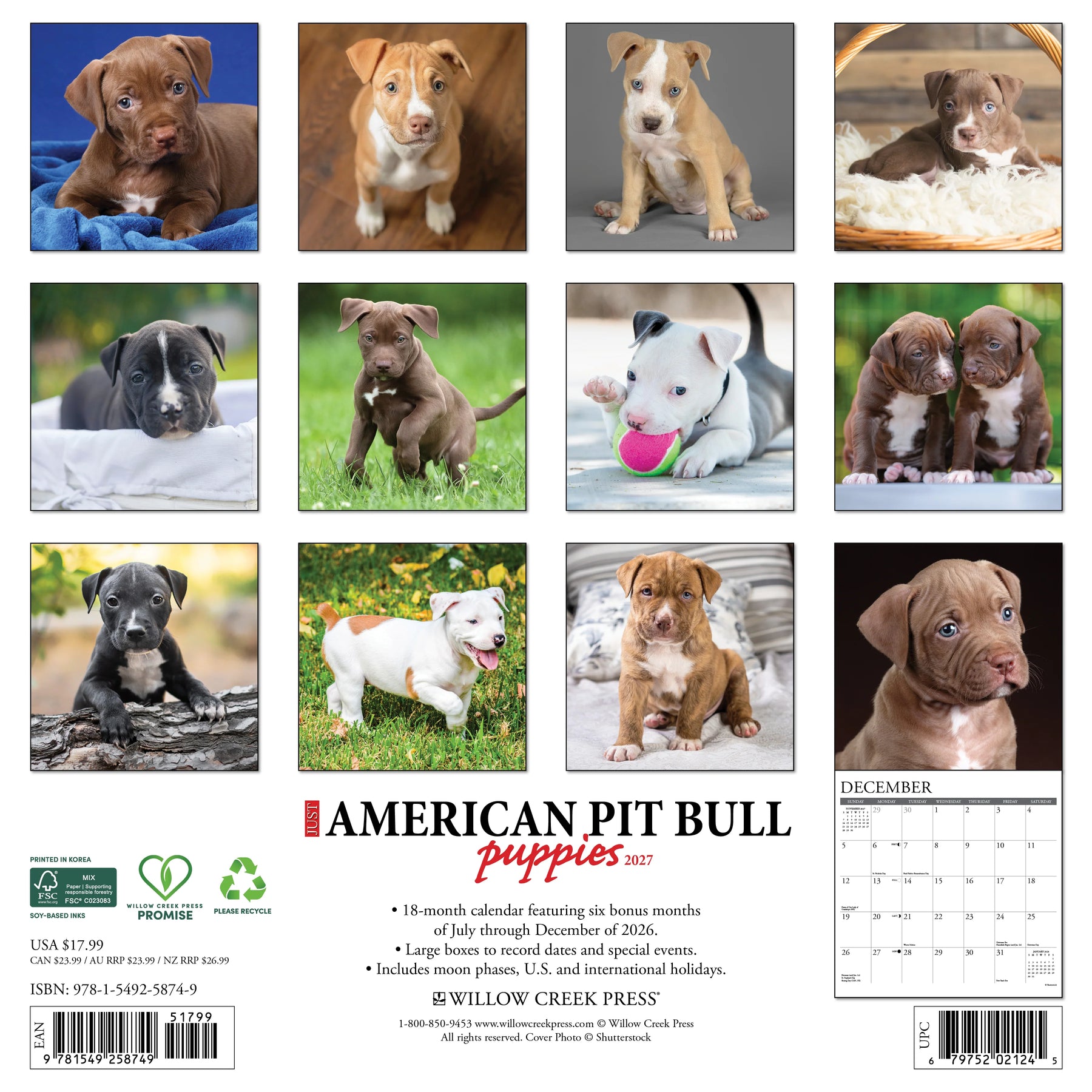 Willow Creek Press - 2027 American Pit Bull Terrier Puppies Calendar
