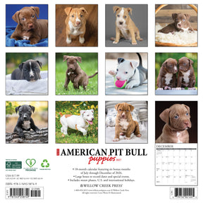 Willow Creek Press - 2027 American Pit Bull Terrier Puppies Calendar
