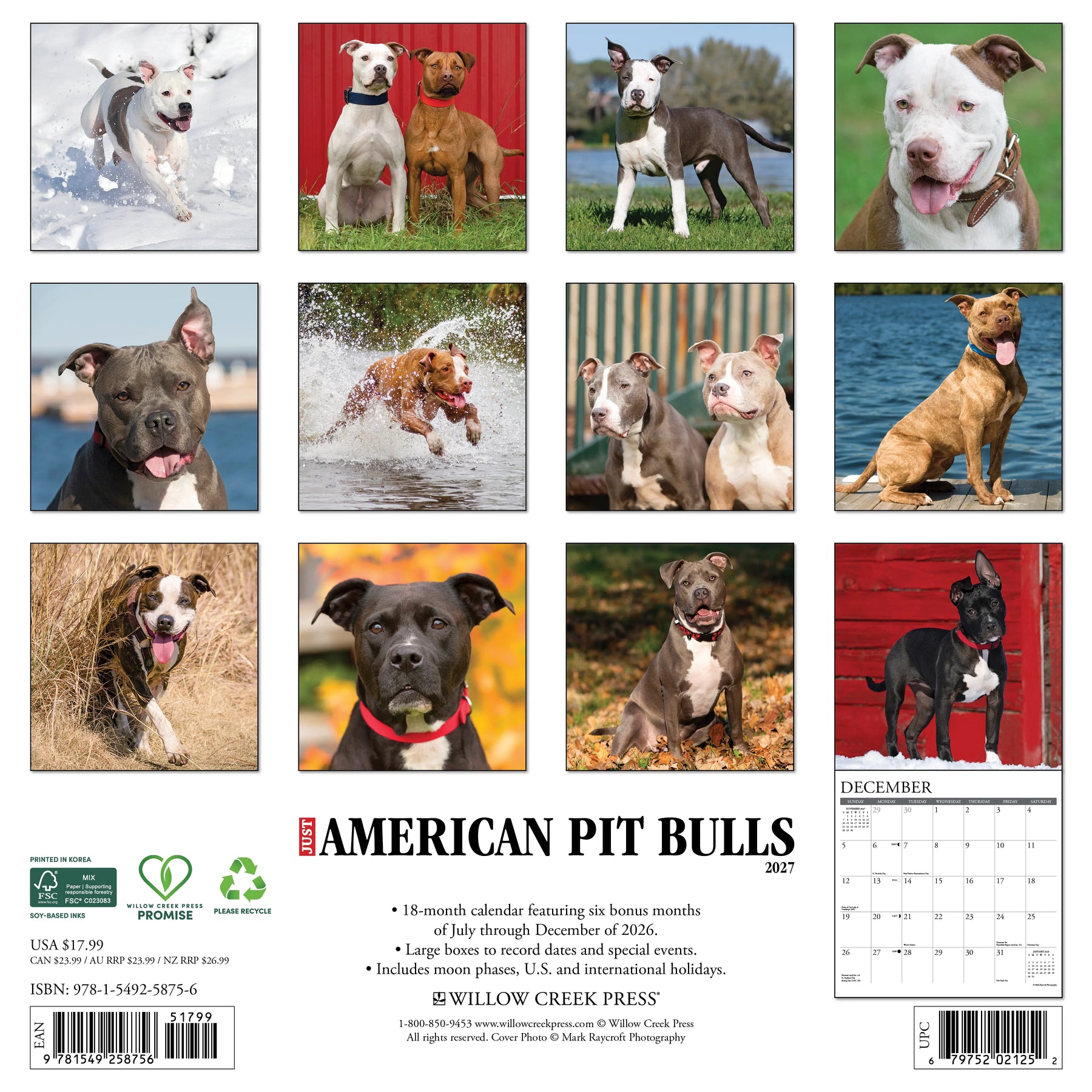 Willow Creek Press - 2027 American Pit Bull Terrier Calendar