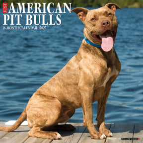 Willow Creek Press - 2027 American Pit Bull Terrier Calendar