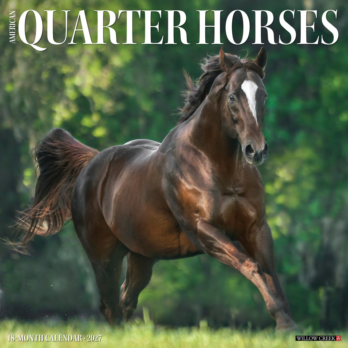 Willow Creek Press - 2027 American Quarter Horses Calendar