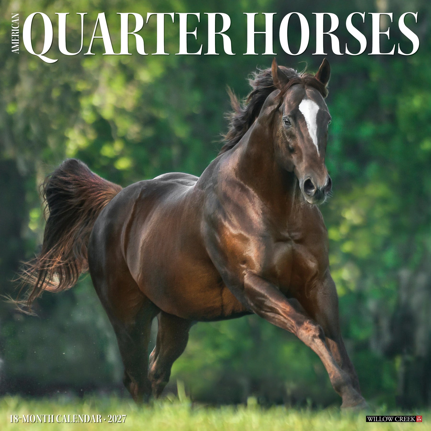 Willow Creek Press - 2027 American Quarter Horses Calendar