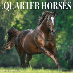 Willow Creek Press - 2027 American Quarter Horses Calendar