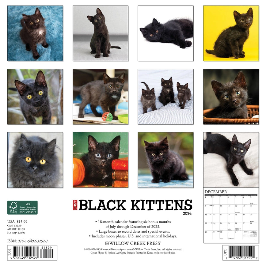 2024 Black Kittens Calendar