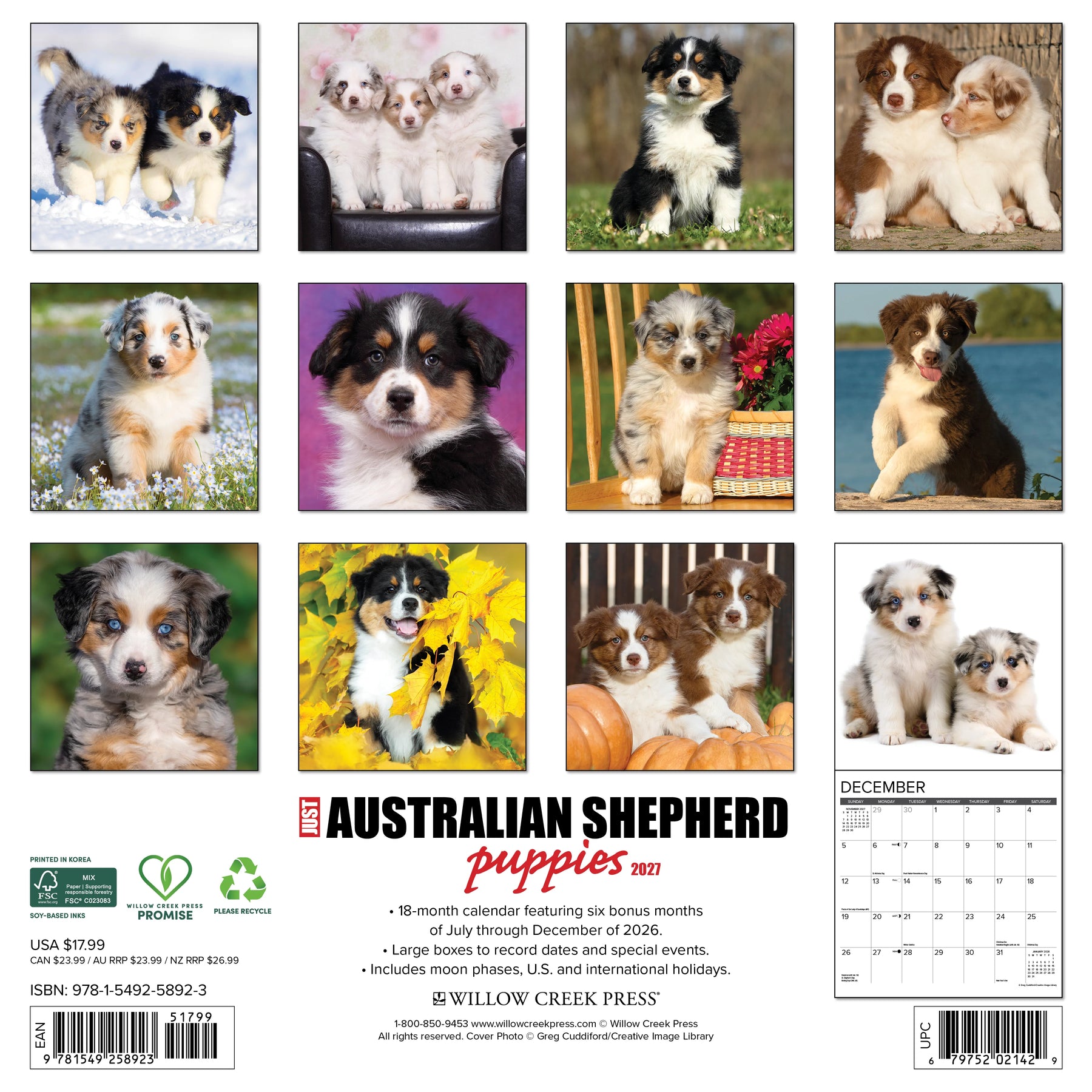 Willow Creek Press - 2027 Australian Shepherd Pups Calendar