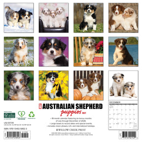 Willow Creek Press - 2027 Australian Shepherd Pups Calendar