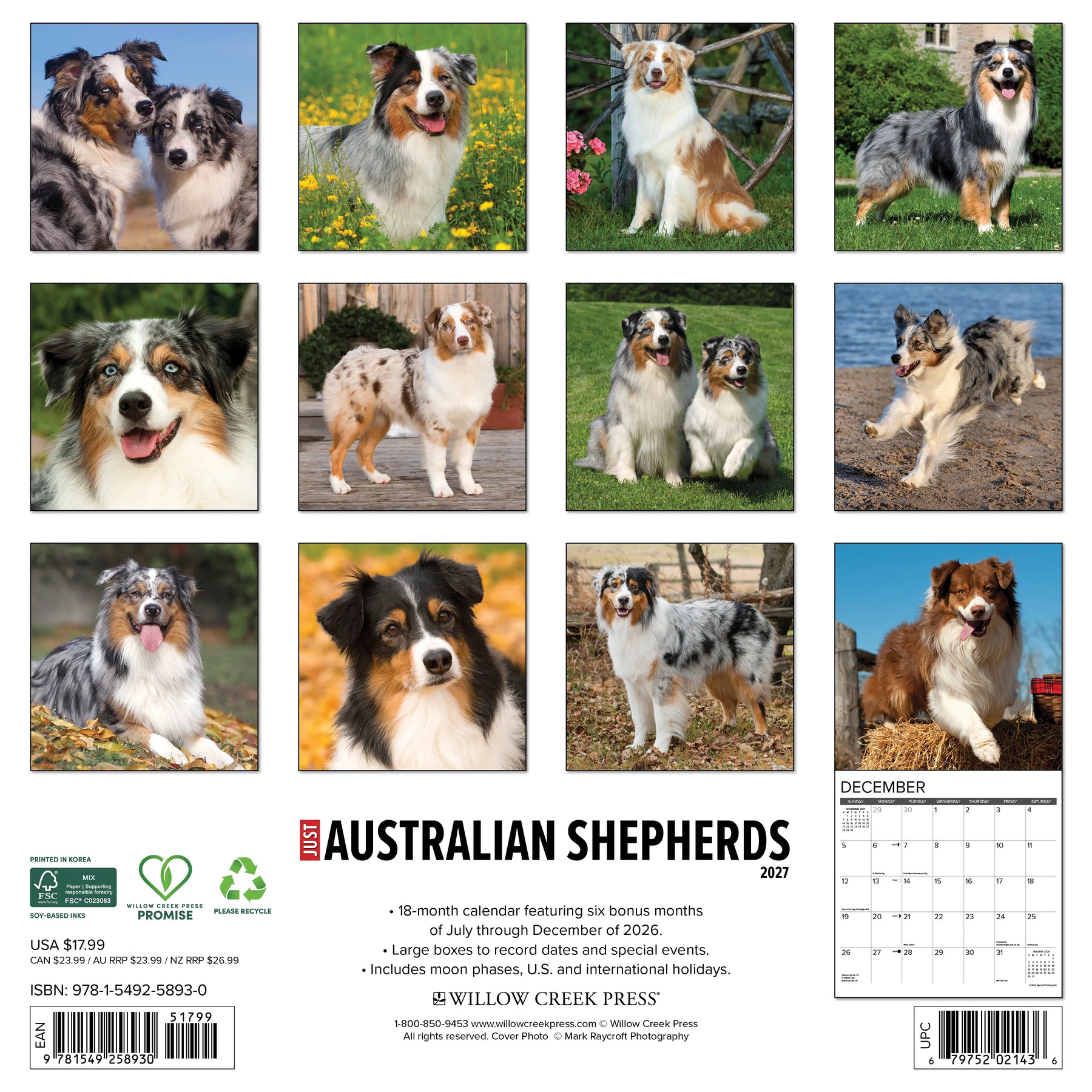 Willow Creek Press - 2027 Australian Shepherd Calendar