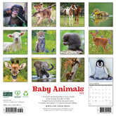 Willow Creek Press - 2027 Baby Animals Calendar