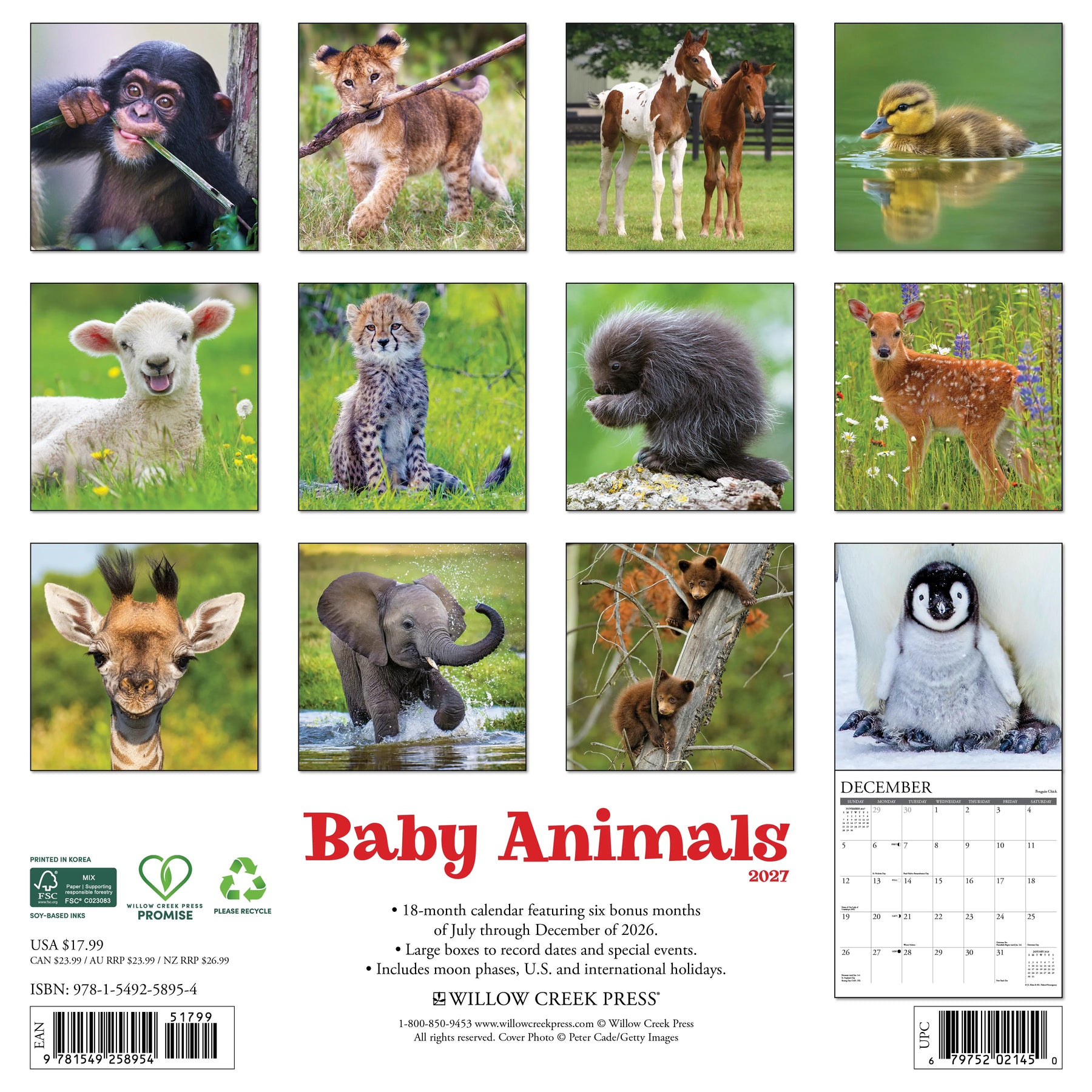 Willow Creek Press - 2027 Baby Animals Calendar