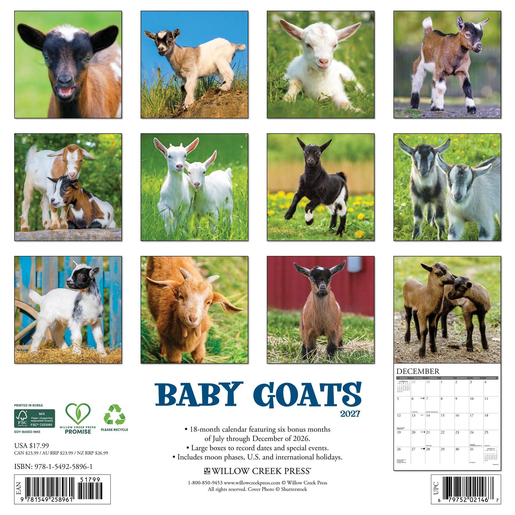 Willow Creek Press - 2027 Baby Goats Calendar