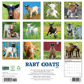 Willow Creek Press - 2027 Baby Goats Calendar